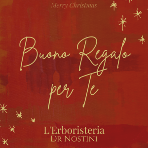 BUONO REGALO DA 100€ FELICE NATALE!